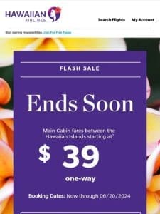 Flash Sale: the savings are here