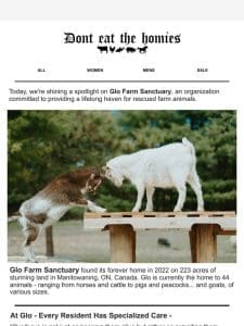 Glo Farm Sanctuary Needs Our Help!