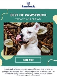 Gourmet dog treats and chews ?