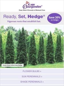 Here’s your ticket ?? to 20% off all hedges!