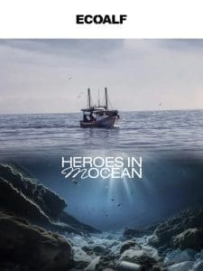 Heroes in (M)ocean