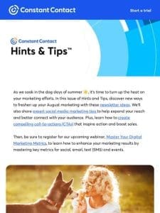 [Hints & Tips] August holiday & newsletter ideas