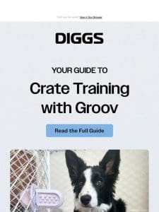 How to Crate Train with Groov