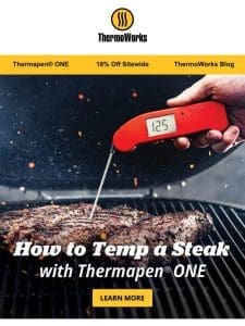 How to Temp a Steak with Thermapen ONE