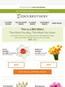 Huge Tulip & Daffodil Savings