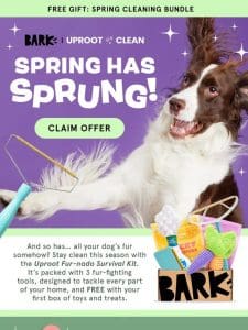 Inside: FREE spring cleaning bundle ? ??