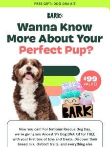 ? It’s Finally Back: FREE Ancestry Dog DNA Kit ?