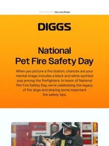 It’s National Pet Fire Safety Day