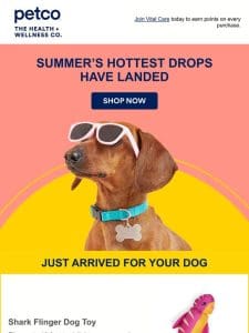 JUST DROPPED: Summer’s hottest pet styles ??