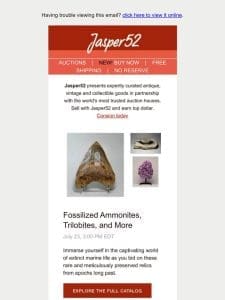 Jasper52 | This Week in Fossilized Ammonites， Trilobites & More