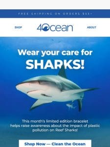 July is for Reef Sharks!