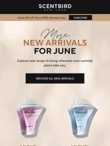 June’s Newest Drops are Here