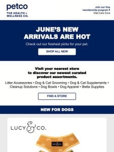 Just dropped! June arrivals your pet will love.