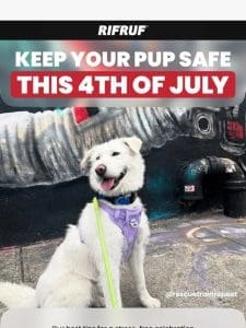 Keep your pup safe this 4th of July