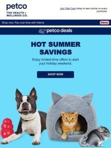 ? Kick off summer with these sizzling deals!