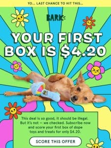 LAST CHANCE to score the $4.20 first box!