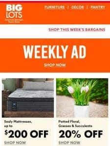 LAST CHANCE to shop the Weekly Ad!