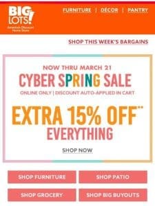 LAST DAY for 15% off EVERYTHING online ?