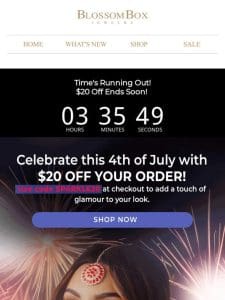 Last Call: $20 Off 4th of July Jewelry Expires in Hours!