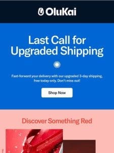 Last Call: Free 3-Day Upgraded Shipping!