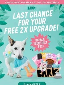 Last Chance: 2X the Toys and Treats ??♀?