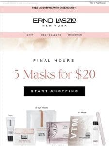 Last Chance: 5 Masks for $20