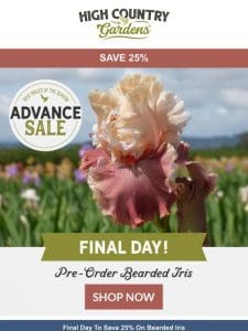 Last Chance To Save 25% On Bearded Iris