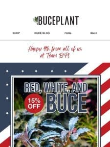 Last Chance for 15% OFF Buce， Tanks， Hardscape & More!