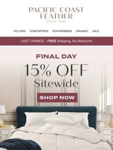 Last Chance for No Minimum FREE Shipping + 15% Off Sitewide