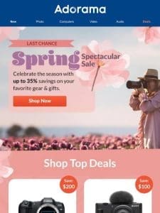 Last Day: Spring Spectacular Sale