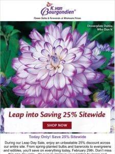 Leap Day Sale! Take 25% off Sitewide – Today Only