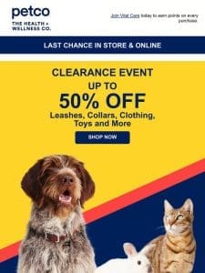 Limited time: 50% OFF Clearance