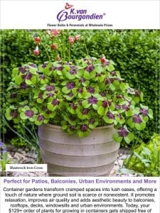 Low on Green Space? Consider a Container Garden