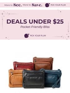 Luxury for Less: Top Picks Under $25