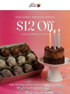Make Birthday Wishes Come True With $12 Off!
