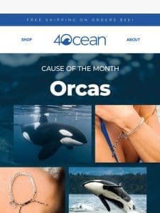 March Is for Orcas