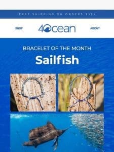 Master of the Waves: The Sailfish