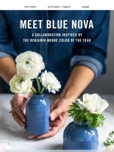 Meet Blue Nova: A Color-Happy Collab ?