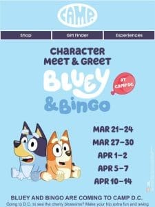 Meet Bluey & Bingo at CAMP D.C. ?