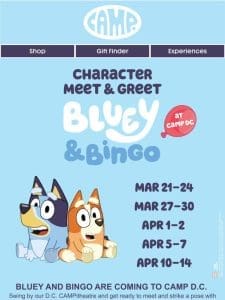 Meet Bluey and Bingo At CAMP D.C.! ?