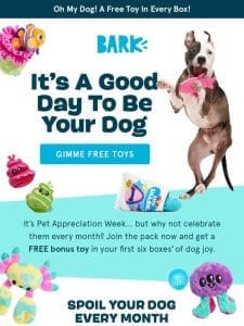 More Toys = More Your Pup Joy ?