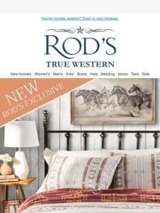 NEW Alamosa Southwestern Bedding Collection