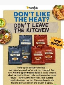 NEW Not-So-Spicy Noodle Pack for the Spice-Sensitive