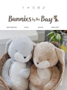 NEW – Our BIGGEST Ever Nibble Bunnies! ?