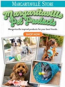 New Margaritaville Pet Collection