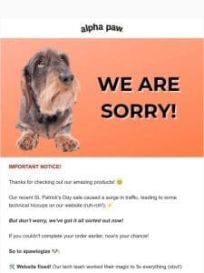 ? OOPS…Sorry， Pet Parents!