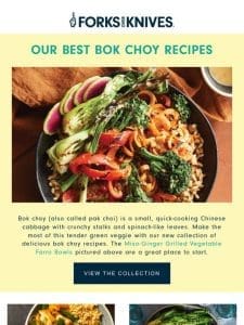 Our Best Bok Choy Recipes