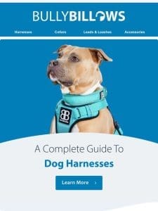 Our Complete Guide To Dog Harnesses.. ???