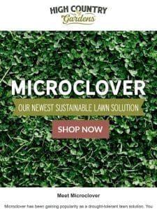 Our Newest Sustainable Lawn Solution