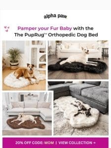 ? Pamper your Fur Baby with The PupRug!